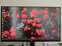 泰坦军团 27英寸 1152分区 MiniLED 2K 425Hz HDR1200nits 升级DyDs0.3ms HDMI2.1专业电竞显示器 P275MT+ 实拍图