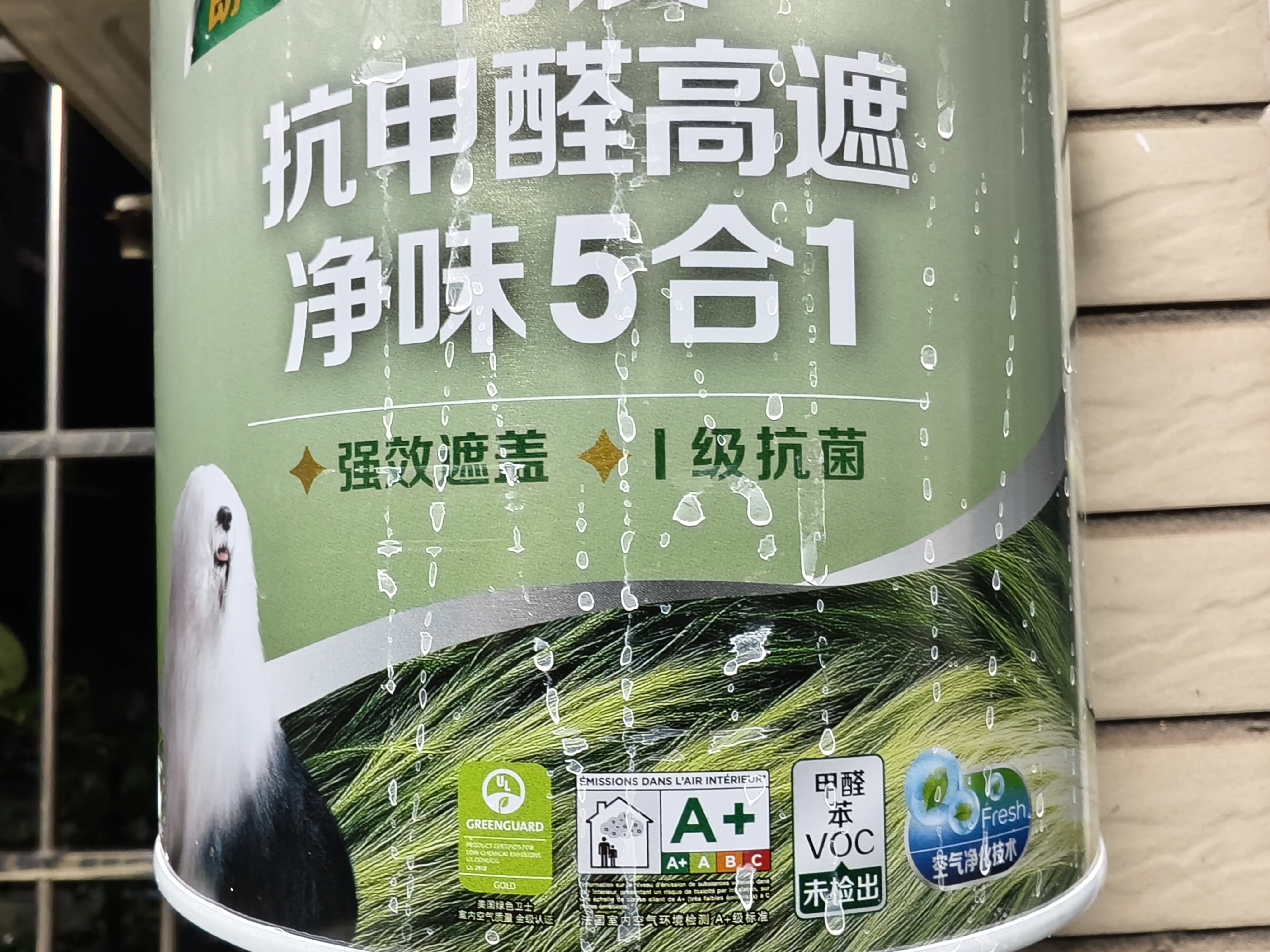多乐士（Dulux）A8146B朗萃竹炭抗甲醛高遮净味五合一室内乳胶漆墙面防霉抗菌油漆涂料 白色5L 实拍图