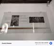 夸克AI显示眼镜S1官方AI助手3D立体双显AR智能眼镜无限续航拍照录像翻译导航提词器耳机 国家补贴 波士顿圆框 玳瑁 标准套装 平光镜（不近视选择） 实拍图