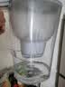 碧然德（BRITA） 家用滤水壶 净水壶滤芯 Maxtra 多效滤芯 3枚装 实拍图