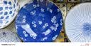 美浓烧 日本原装进口餐具 日式盘子家用釉下彩洗碗机可用8英寸餐盘 蓝绘盘5件套 8英寸 实拍图