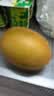 佳沛（zespri）新西兰 阳光金奇异果12粒特大果单果124-146g 猕猴桃水果礼盒 实拍图