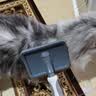 HELLOJOY宠物猫狗梳子猫毛狗狗毛梳子去浮毛脱毛猫咪梳毛刷神器大型犬用品 实拍图