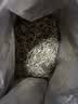 福茗源白毫银针白茶 特级2017云南古树月光白袋装500g茶叶自己喝口粮茶 实拍图