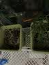 爱丽思（IRIS）花架塑料阳台置物架客厅庭院收纳架多层落地式架子多肉专用花盆架 【三层白色】长90宽75高67cm 实拍图