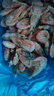 禧美海产海藻头北极甜虾净重1kg/盒 黑头虾 MSC认证 90-120+规格 海鲜 实拍图