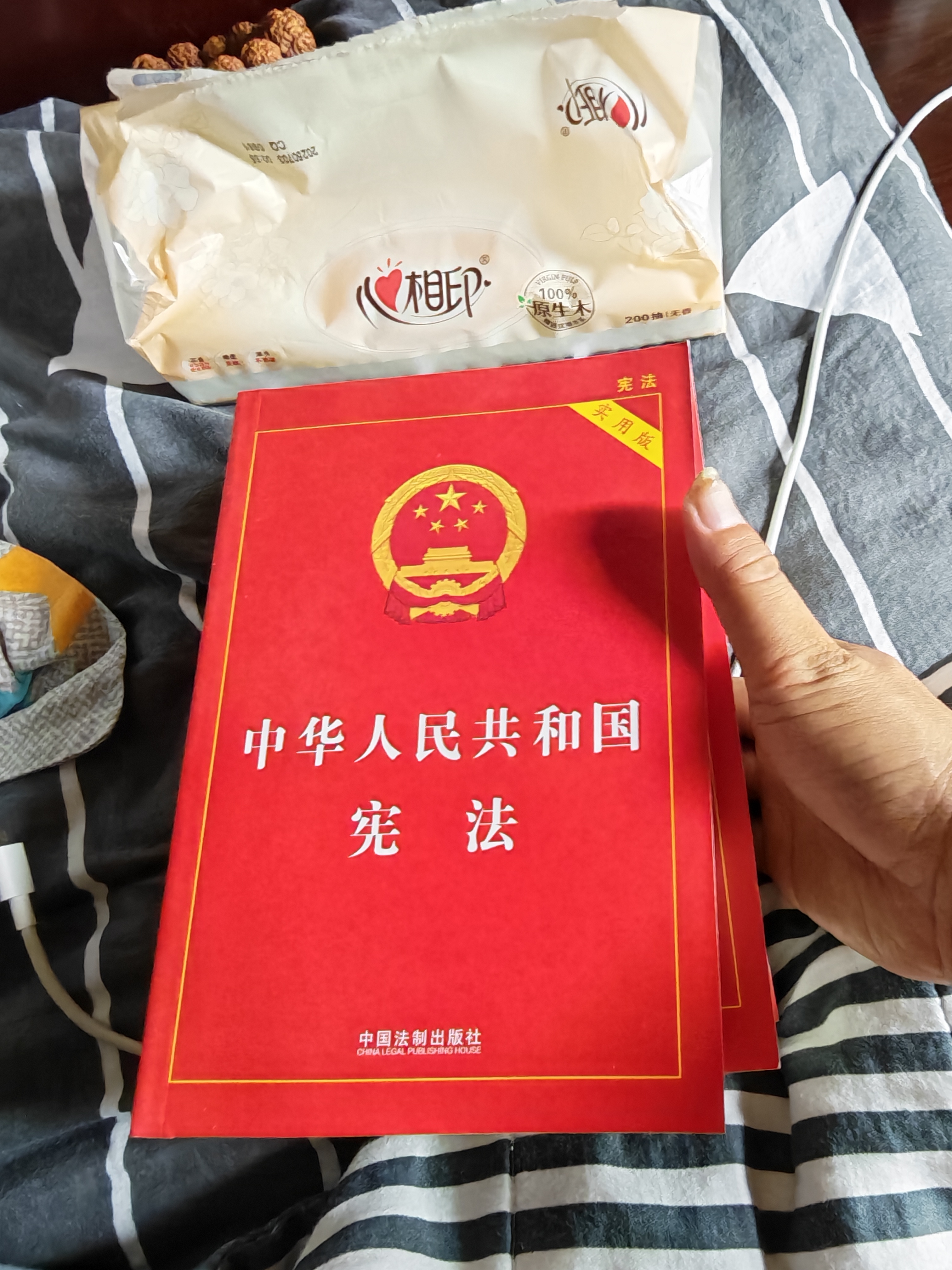 【正版速发】中华人民共和国民法典2026正版全套 宪法最新版2026中学生宪法刑法实用版 法条法律法规 新宪法典小册子 法律出版社 普法书籍 中国法制出版社 新华书店旗舰店 【实用版3册】民法典+刑法 实拍图