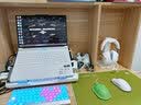 联想拯救者R9000P 电竞游戏笔记本电脑(锐龙9 9955HX 32G 1T RTX5070 2.5K OLED 白) 国家补贴 实拍图