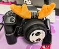 佳能（Canon）R10微单相机  4K数码高清入门级家用旅游vlog视频拍摄 r10小型专业照相机 R10+18-45 STM镜头套机【爆款热销】 套餐一【含128G卡~摄影包~电池~vlog套装】 实拍图