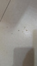 京东京造荞荞枕加大款 100%荞麦壳填充透气高度可调花草枕头单只装 实拍图