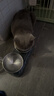 BOTH 烘焙猫粮 幼猫成猫全阶段 鸭肉梨泪痕管理 猫粮试吃200g 实拍图