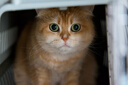 佳能（Canon）【官方旗舰】RF24-105mm F2.8 L IS USM Z 恒定F2.8大光圈 L级 RF标准变焦镜头 实拍图