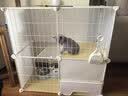 爱咪宠猫笼子家用猫窝别墅带厕所一体室内带猫砂盆大号幼猫猫屋猫咪笼子 快速训练小猫上厕所【70*35*73】 厕所款：猫砂盆和铲+逗猫棒+爬梯 实拍图