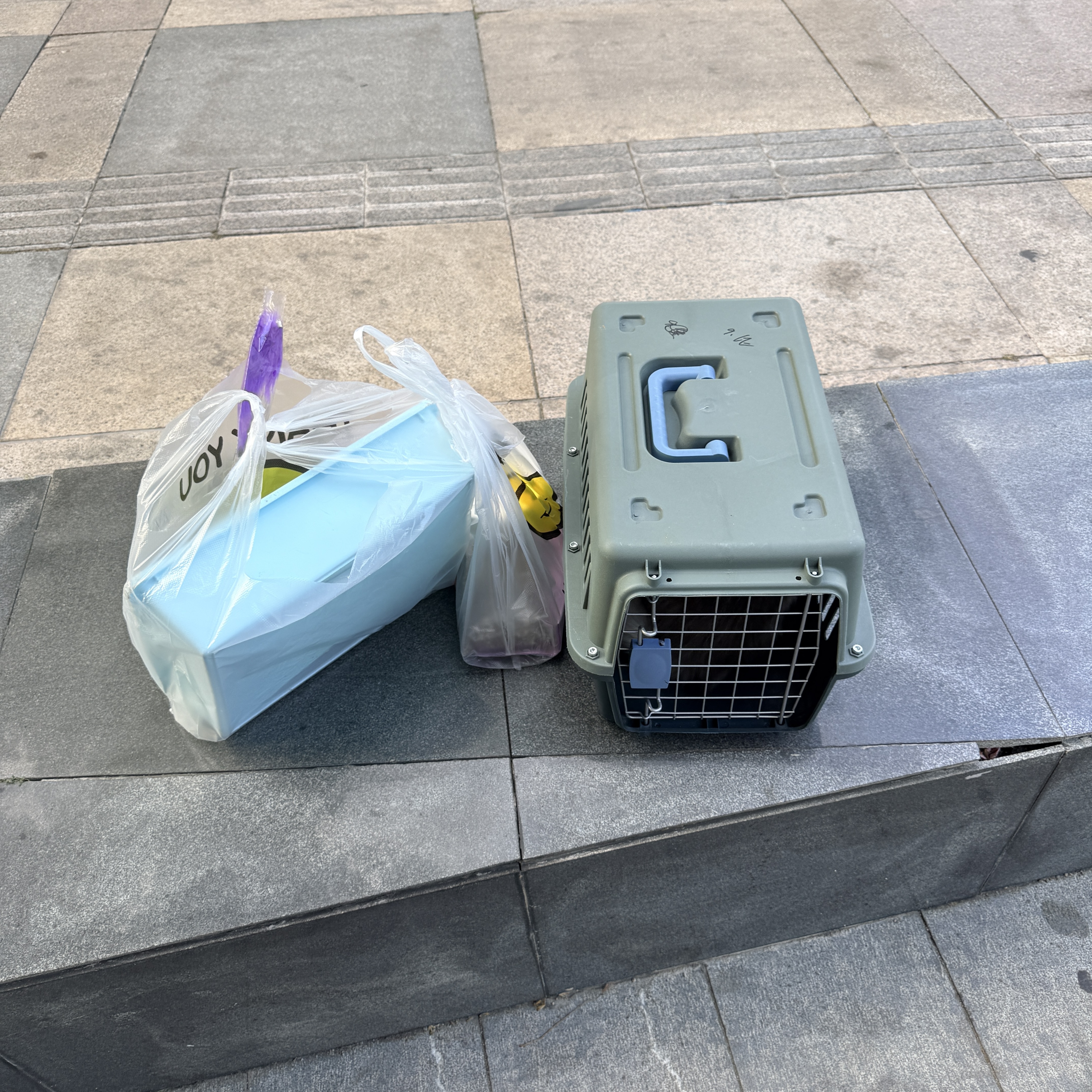 福丸 宠物除臭喷雾  猫尿便后生物酶除味剂 白茶香型 340ml 猫狗通用 实拍图