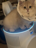 霍尼韦尔（Honeywell）宠物猫用空气净化器价保618吸猫毛除甲醛异味过敏源杀菌消毒母婴级KJ520F-C22W霍哈宝H-Cat Hub 实拍图