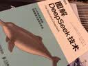 图解大模型+图解DeepSeek技术 京东套装2册 图灵出品 实拍图