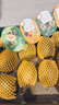 佳沛（zespri）新西兰金果巨大果15粒 单果146-175g 端午节礼物水果礼盒 猕猴桃 实拍图