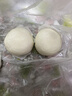 广州酒家流沙凤凰包750g 20个 早餐半成品早茶 包子食品速冻包点生鲜端午 实拍图