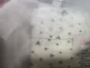 都市丽人女士内裤女纯棉100%全棉10A抗菌加长裆可爱少女蕾丝中腰三角短裤 实拍图