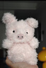 Jellycat小猪可爱公仔动物毛绒玩偶小玩偶娃娃送礼生日礼物 粉红色 Little 实拍图