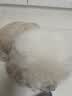 HELLOJOY宠物猫狗梳子猫毛狗狗毛梳子去浮毛脱毛猫咪梳毛刷神器大型犬用品 实拍图