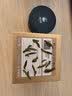 狮峰牌2026年新茶绿茶西湖龙井茶叶明前精品50g甘字罐装送礼自己喝 实拍图