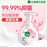 滴露（Dettol）泡沫洗手液樱桃250ml+兰花250ml 抑菌杀菌消毒泡泡型补充装儿童 实拍图