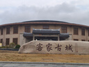 森马【速干凉感】短袖T恤男夏季26新款白色打底衫抑菌上衣t恤男女同款 实拍图