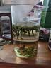 忆壶茶泡茶杯茶水分离杯绿茶杯专用茶杯月牙过滤玻璃月牙公道杯玻璃茶具 【550ML】月牙杯 实拍图