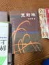 荒野地/贾平凹文选  贾平凹旅行散文精粹 实拍图