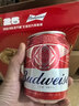 百威啤酒mini红罐淡色拉格255ml*24小罐整箱装京东自营喜酒端午送礼 实拍图