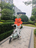 飞鸽电动自行车 E75Plus新国标电动车2026【敦煌联名】80KM长续航48V21Ah铅酸电池智能电瓶车可上牌 实拍图