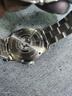 西铁城（CITIZEN）光动能商务休闲日历星期显示防水男表BM8550-81E七夕礼物 实拍图