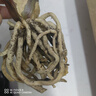 大盆君子兰盆栽名贵国宝级花卉苗绿植物圆头和尚室内客厅四季好养 【掌柜推荐】8-11片叶子+带土 送肥料 实拍图