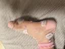 棉奇熊女童夏季薄款冰丝袜儿童夏天超薄丝袜网眼短袜透气宝宝短筒袜5双 FB401-高性价比 甜美水晶【超薄无骨网眼袜】 5双 5-9岁 -脚长16-18CM 鞋码25-32 实拍图
