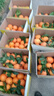 迈卡龙S7陆地冲浪板初学者滑板成人儿童专业刷街代步免蹬地陆冲板大鱼板 S7-30寸流沙 实拍图