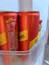 可口可乐（Coca-Cola）怡泉 Schweppes ginger 干姜水 汽水饮料 调酒 330ml*24 整箱装 实拍图