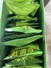 同仁堂品牌北京同仁堂赶黄草中药饮片四川特级3g*30袋赶黄草护肝茶京东自营赶黄草中药材熬夜泡水茶 实拍图
