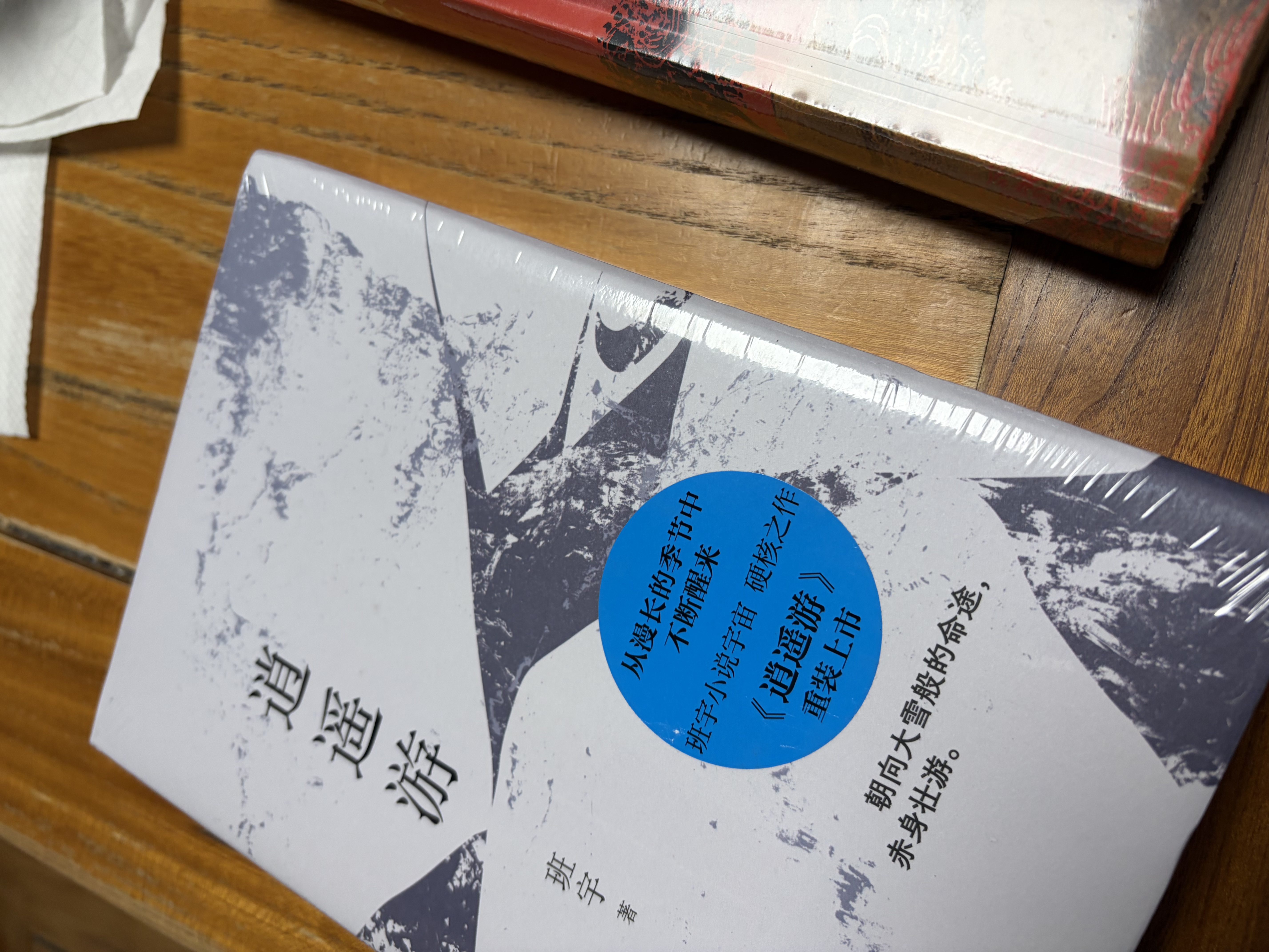 逍遥游   人民文学出版社 小说 实拍图
