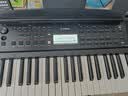 雅马哈（YAMAHA）电子琴PSR-F52/E383初学入门61键成人儿童演奏教学练习考级琴 【力度键盘】E383 实拍图