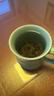 贡苑茉莉花茶 茉莉龙珠广西特种级130g*2罐 香珠绣球茶叶浓香型自己喝 实拍图
