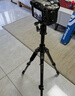 富图宝（Fotopro）S4 PRO+42QP 索尼佳能尼康全景云台相机摄影三脚架 实拍图