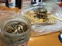 画马石金线鱼罐头170g 咸香豆豉小鱼仔下饭酒菜 福建特产 实拍图