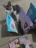 纯刻 B40低温烘焙猫粮无谷全价成猫幼猫专用干粮0谷物低敏鲜鸡肉配方 3kg【3包常备装】送猫条+罐头体验装 实拍图