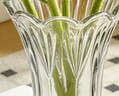 墨斗鱼玻璃花瓶高级感简约插花瓶水培绿植物水培养生态瓶养花生日礼物 实拍图