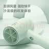 飞科（FLYCO）博锐电吹风机家用大功率吹风筒学生宿舍便携大风力低噪三档温度360°集风嘴风筒送女友生日礼物 【嫩绿】人气推荐 速干不伤发PH1622 1800w 实拍图