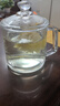 带盖泡茶杯加厚耐高温大容量玻璃把杯待客家用喝茶水杯 加厚玻璃泡茶杯350ml 实拍图