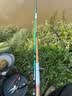 达亿瓦（DAIWA）一击 轻量鲤鱼鲫鱼草鱼罗非 进口鱼竿手杆 轻硬挺 休闲台钓 5.4m 一击F 54.K（综合）【野钓主力，全水域通杀】 不支持使用/试用后退换货 实拍图