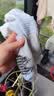 维动（VEIDOORN）离弦专业加厚防滑户外实战篮球袜精英男女毛巾底高筒运动袜 离弦粉【专业实战款三双装】 实拍图