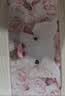完美日记（PERFECT DIARY）完美日记探险家12色眼影盘小猪玫瑰14g七夕礼物送女生 实拍图